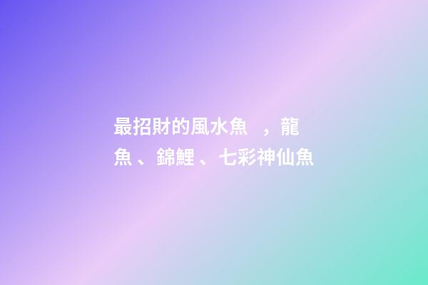 最招財的風水魚，龍魚、錦鯉、七彩神仙魚